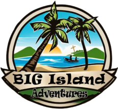 BIA Logo Final copy