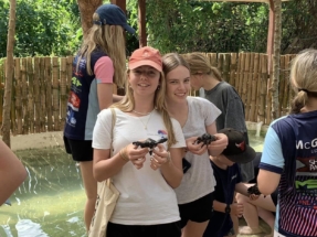 Loaves-and-Fishes-Turtle-Sanctuary-2
