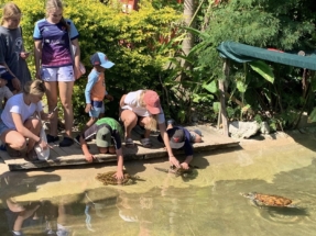 Loaves-and-Fishes-Turtle-Sanctuary-3